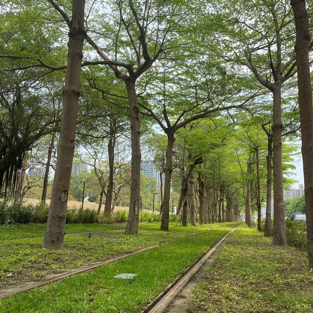 高雄景點 龍貓隧道