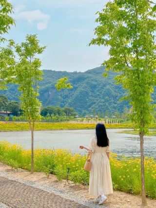 무슨 꽃을 좋아할지 몰라 다 모아봤어💐