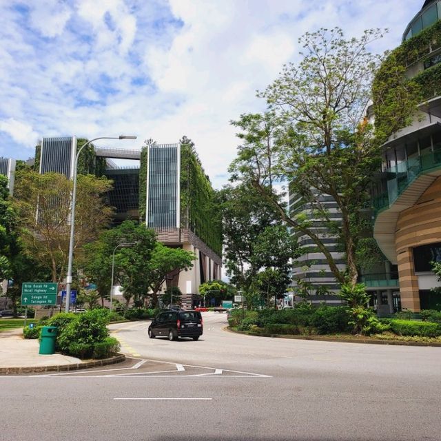 The shopping Mecca of Singapore, Orchard Road