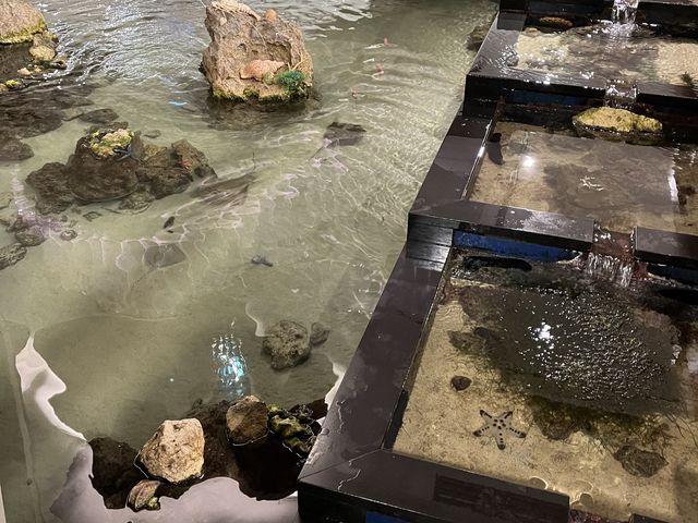 專屬你的沖繩度假樂園 - Sheraton Okinawa