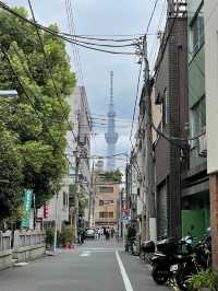 【東京都/矢先稲荷神社】馬術の天井絵が見られる神社