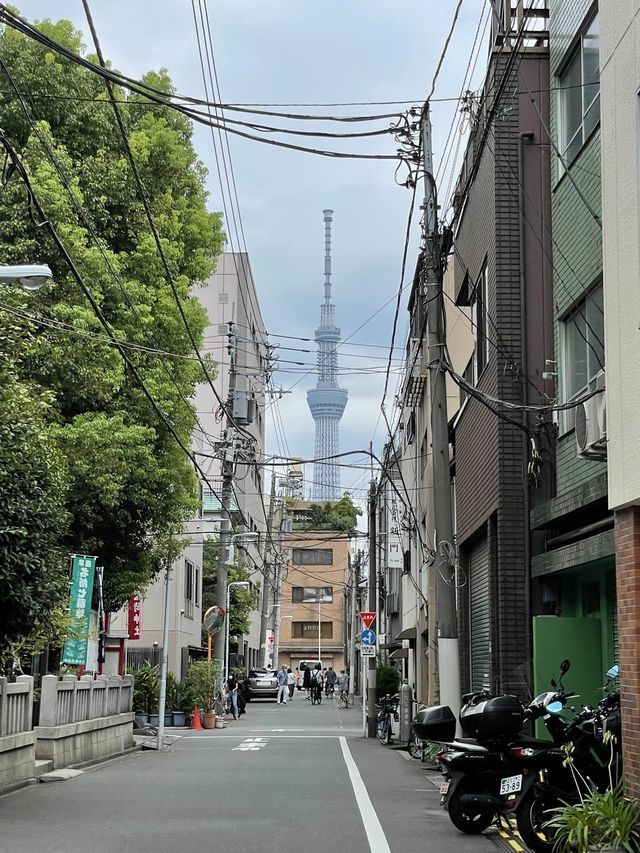 【東京都/矢先稲荷神社】馬術の天井絵が見られる神社