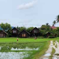 Laman Padi Langkawi
