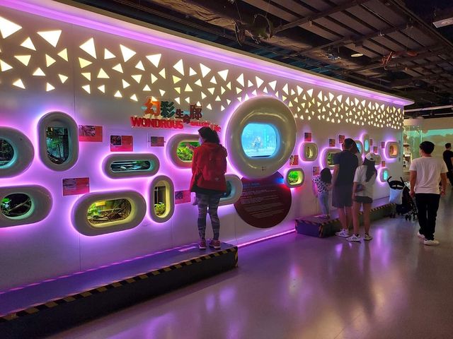 Noah's Ark Hong Kong 🎯✨
