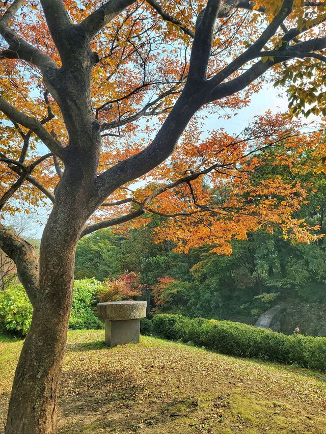 강릉 구석구석 드라이브하기 좋은 코스🍁