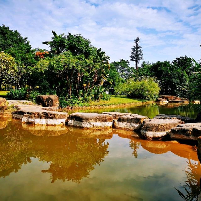 簕杜鵑盛放的蓮花山公園 簕杜鵑盛放的蓮花山公園