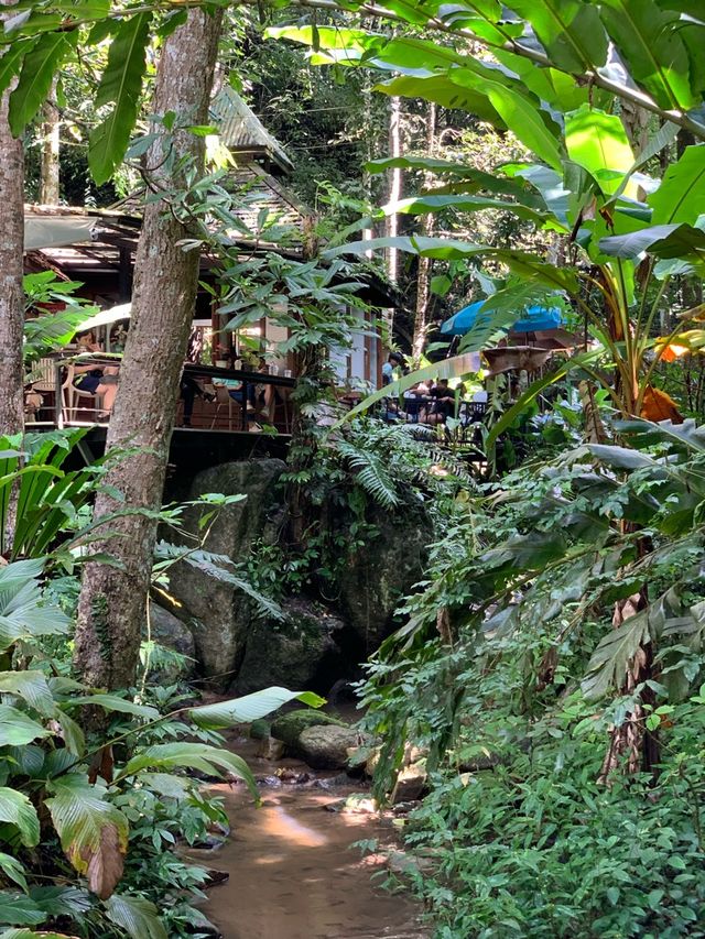 Teddu Coffee & Inn Maekampong Teddu Coffee & Inn Maekampong