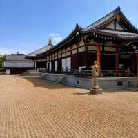 参拝がてらお散歩に👣🚶🔅