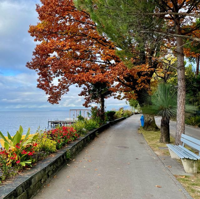 Blooms & Views: Montreux Elegance