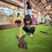 Best experience for reptiles lover!