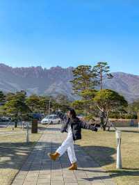 설악산 보면서 아침 산책하시 좋은 델피노 리조트⛰️