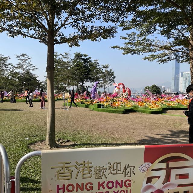 金鐘❤️添馬公園