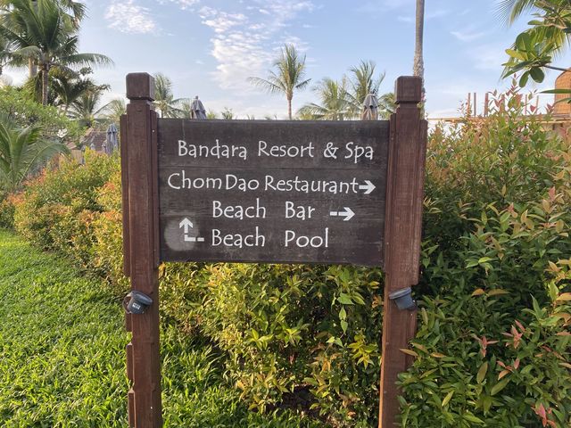 蘇梅島Bandara resort的可愛青蛙噴水泳池 🐸 