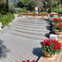 香港公園打卡位