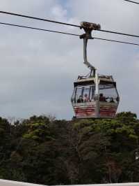 超Free感受昂坪360纜車
