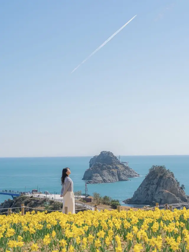 오륙도 티켓 할인, 운영 시간, 후기 [2025년] | Trip.com