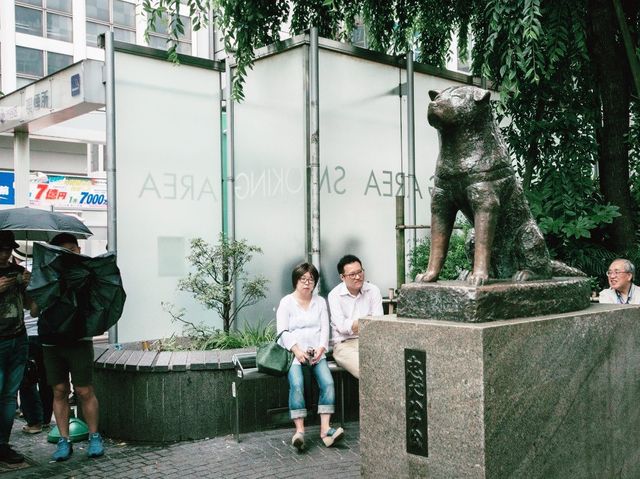 What to go to Tokyo for