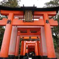 京都 - 千本鳥居
