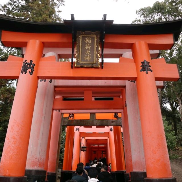 京都 - 千本鳥居
