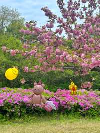 하남 미사경정공원에서 겹벚꽃 피크닉🌸