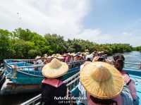 นั่งเรือชมป่าโกงกาง ไถหนาน