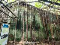 พิพิธพัณฑ์ และโกดังรกร้างเก่ากว่า 70 ปี