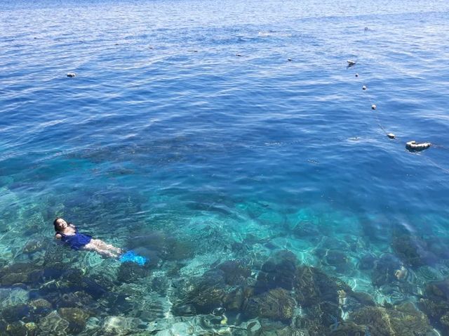 #no filter🌊純天然碧海藍天美人魚🧜🏻‍♀️