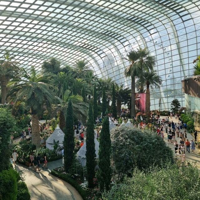 The Flower Dome @ Gardens By The Bay