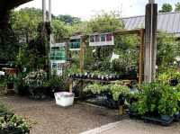 เที่ยวญี่ปุ่น Gifu World Rose Garden 