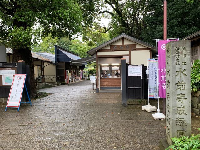 熊本　熊本観光　熊本の癒しスポット水前寺成趣園に行ってきた！