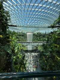 The World's tallest Indoor Waterfall-The Jewel 