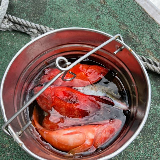 【沖縄旅行】座間味を楽しむ宿　民宿中村屋