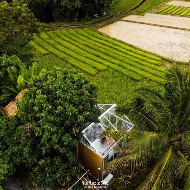 นอนโฮมสเตย์กลางนา ที่จังหวัดน่าน🌳