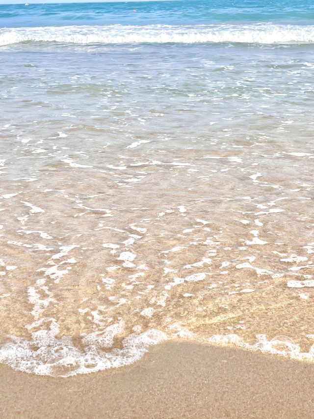 여름 휴가철 해수욕장은 역시 해운대🏖️ 여름 휴가철 해수욕장은 역시 해운대🏖️