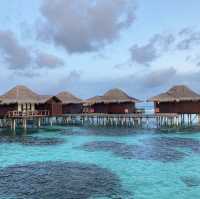 MALDIVES WITH LOVE