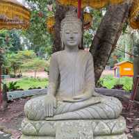 Whispers of Wisdom: Pagoda and School