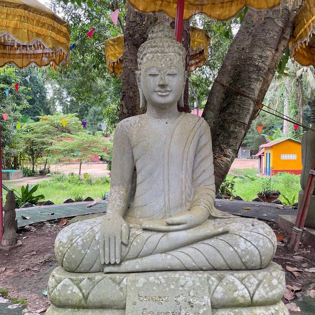 Whispers of Wisdom: Pagoda and School