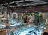 Rama 9 Museum