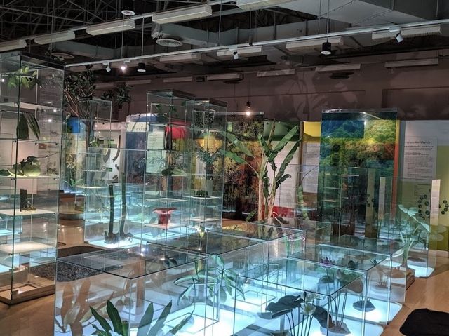 Rama 9 Museum