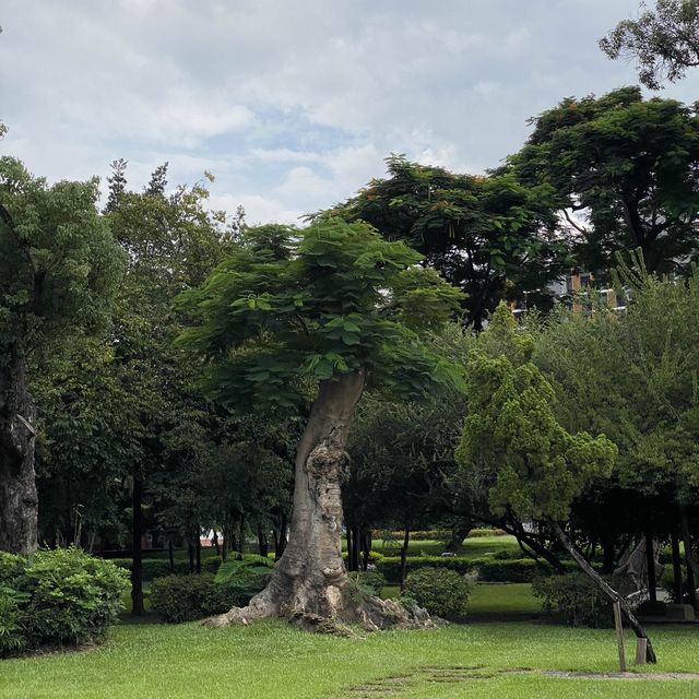 台中公園🐕