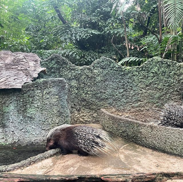🇹🇭泰國曼谷| Safari World親子遊好去處