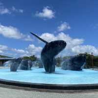 🌊🐠 台灣海洋生物博物館─海洋奇觀樂園 🌊🐠