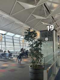 《搭乗記》中部国際空港→仁川国際空港✈️大韓航空🇰🇷空の旅☁️