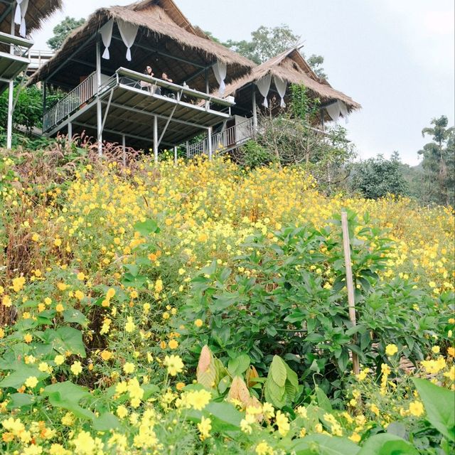 บ้านผาฮี้ จ.เชียงราย