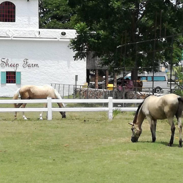 lovely place for educational tour