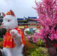 A famous Cat City in Malaysia 
