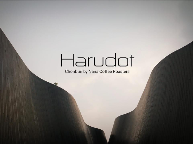 Harudot Chonburi by Nana Coffee Roasters