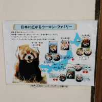 おとぎの国？野生動物を見た人間の感想がだいたい「美味しそう」