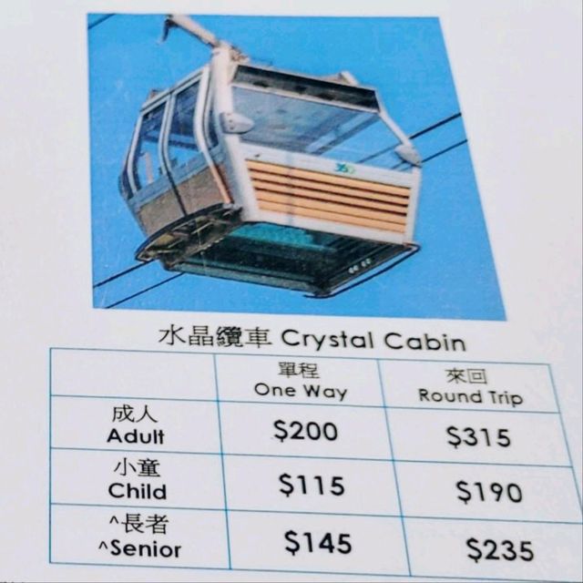 昂坪360的纜車，由高空打開，香港大嶼山！