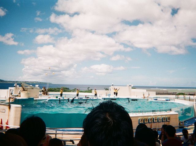 일본의 제주🏝️ 오키나와🇯🇵